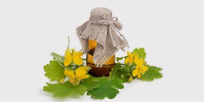 olio di celidonia per i funghi dei piedi